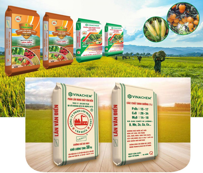 Cổ phiếu VAF của Phân lân Văn Điển rơi vào diện kiểm soát Co phieu VAF cua Phan lan Van Dien roi vao dien kiem soat