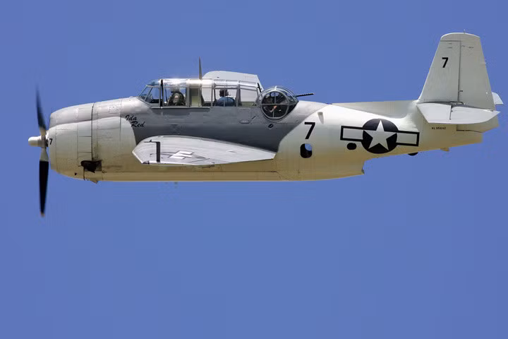 Avenger cũng được dùng cho nhiệm vụ cường kích dọn bãi và yểm trợ hiệu quả cho bộ binh.