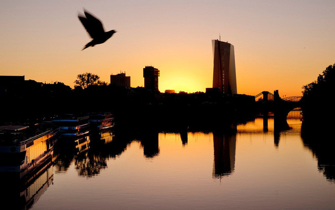 Chim bồ câu bay qua sông Main với tòa nhà Ngân hàng châu Âu ở phía xa tại thành phố Frankfurt, Đức. (Nguồn Guardian)