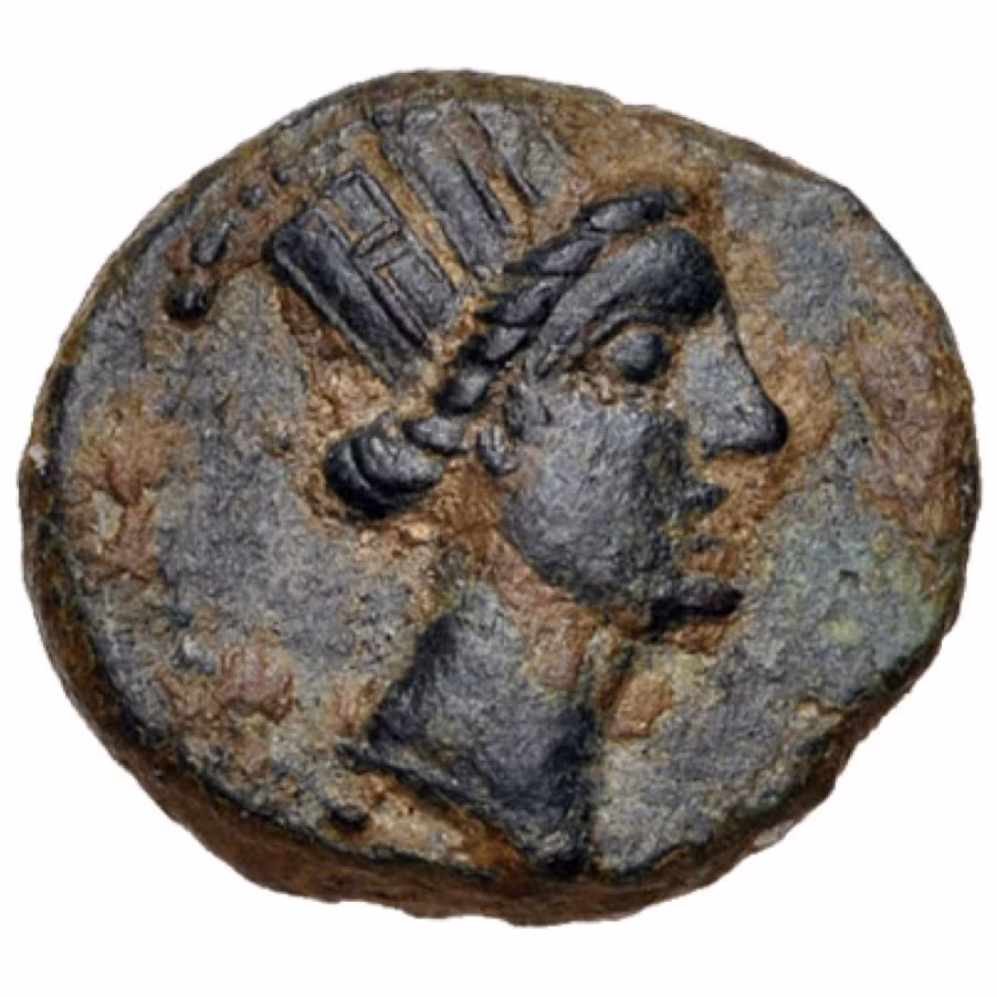 Điều này cho thấy Nữ hoàng Cleopatra có dung mạo khá xấu xí, khác xa với các giai thoại ca ngợi vẻ đẹp của bà.