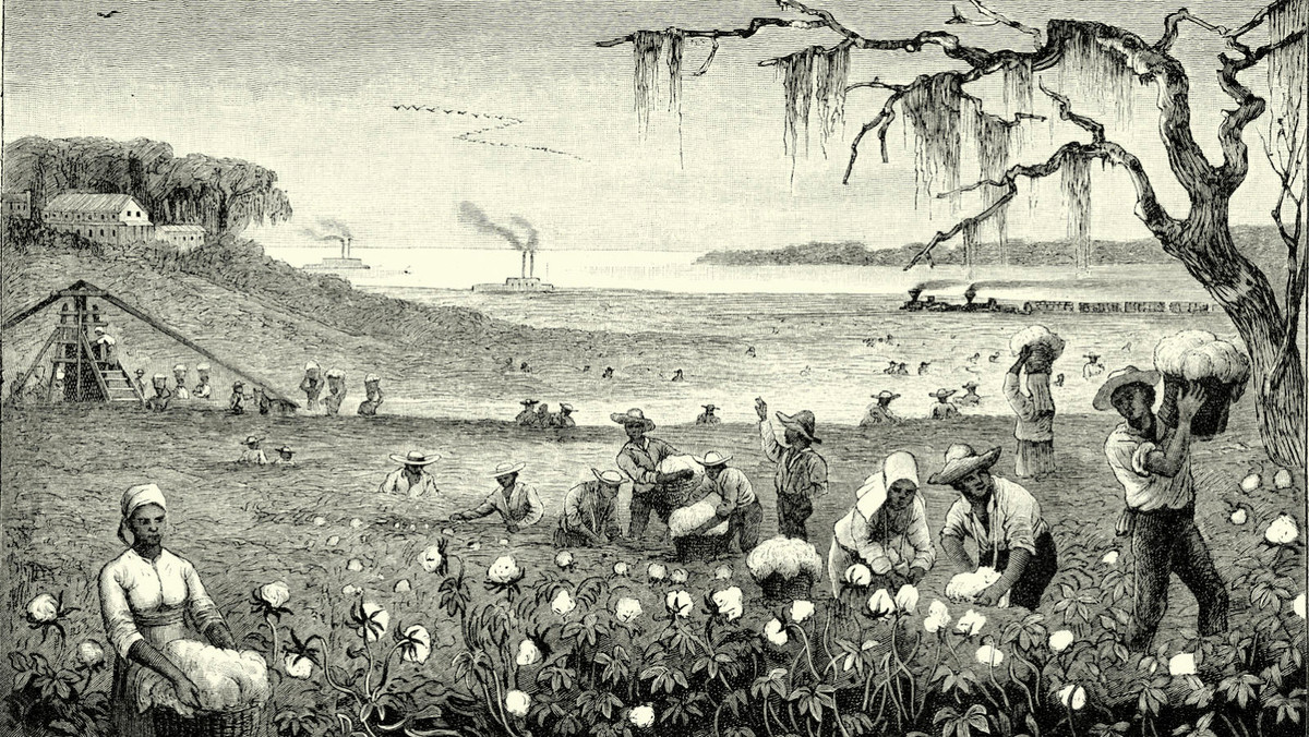 Gần 100 năm sau, chế độ nô lệ ở Mỹ phát triển mạnh. Theo nghiên cứu, vào năm 1725, gần 42.000 nô lệ người châu Phi được chuyển đến Chesapeake, Virginia.