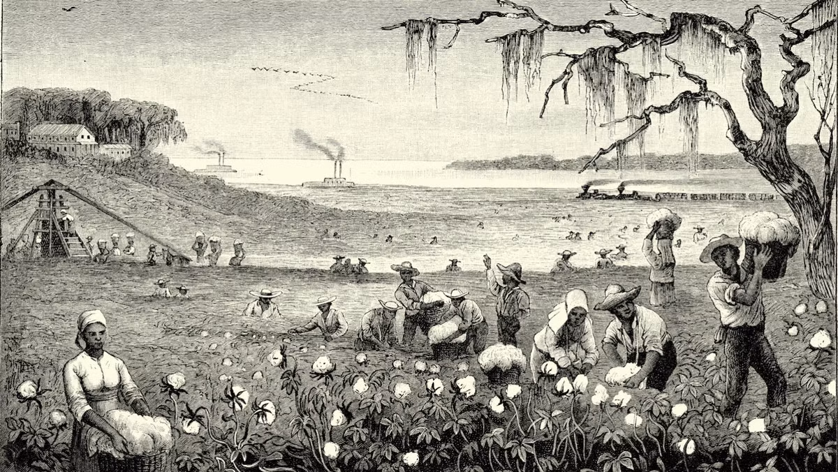 Gần 100 năm sau, chế độ nô lệ ở Mỹ phát triển mạnh. Theo nghiên cứu, vào năm 1725, gần 42.000 nô lệ người châu Phi được chuyển đến Chesapeake, Virginia.