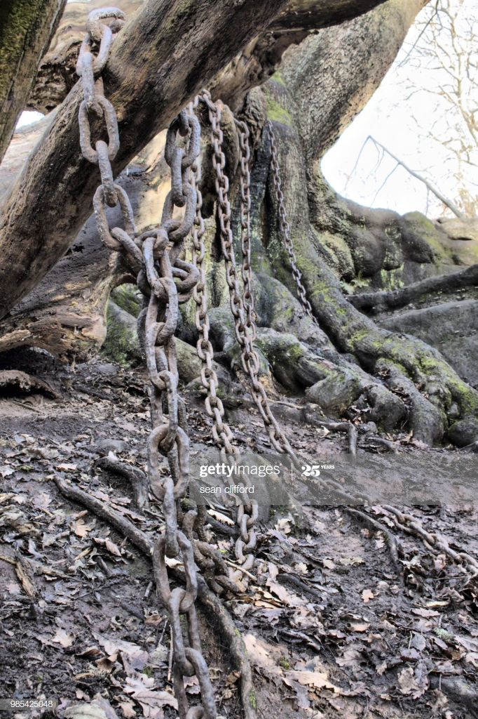 Bá tước Shrewsbury lúc ấy không khỏi sợ hãi vì nghĩ rằng "lời nguyền" của người ăn xin ứng nghiệm.