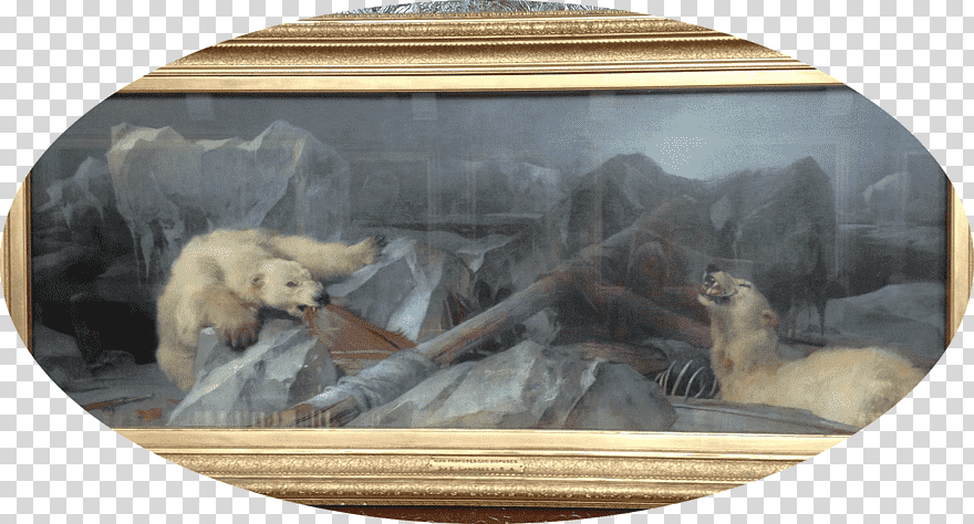 Trong bức tranh, họa sĩ Edwin vẽ hai con gấu Bắc Cực "tấn công", "cắn xé" con tàu gặp nạn của đoàn thám hiểm do Franklin dẫn đầu.