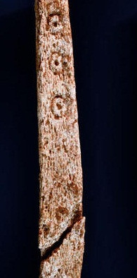 Khi tham gia các trò chơi này, người chơi sẽ bộ lộ trí thông minh và chiến lược của bản thân.