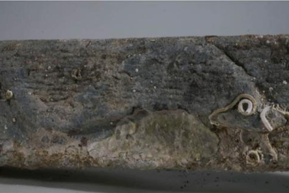 Vào thời điểm ấy, Alexander Đại đế băng hà vào năm 323 trước Công nguyên. Sau đó là sự xuất hiện của đế chế La Mã vào khoảng năm 31 trước Công nguyên.