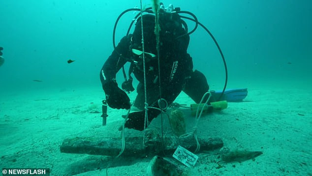 Chính vì vậy, những người đi biển thường chạm khắc biểu tượng cá heo với hy vọng nữ thần Aphrodite sẽ bảo vệ họ an toàn trong những chuyến đi biển.