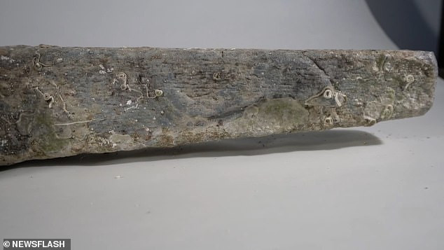 Theo các chuyên gia, chiếc mỏ neo làm bằng chì có một biểu tượng hình cá heo ở trên bề mặt.