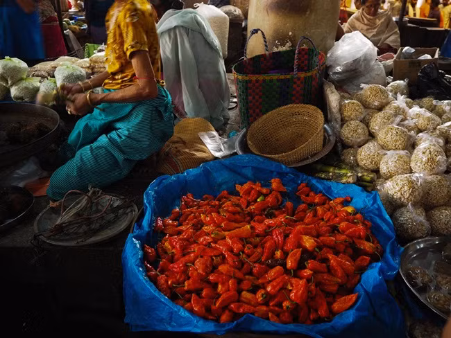 Mức giá bán của loại ớt này lên đến 2300 Rupee India/kg (~700.000 đồng/kg).