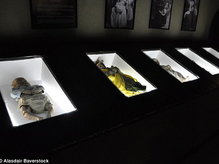 Toàn bộ xác ướp ở bảo tàng xác ướp Guanajuato ở nhiều lứa tuổi từ trẻ em cho đến người trưởng thành, người lớn tuổi.