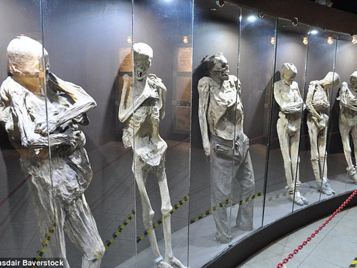 Nằm ở Mexico City, bảo tàng xác ướp Guanajuato thu hút hơn 4.000 lượt khách ghé thăm mỗi tuần.