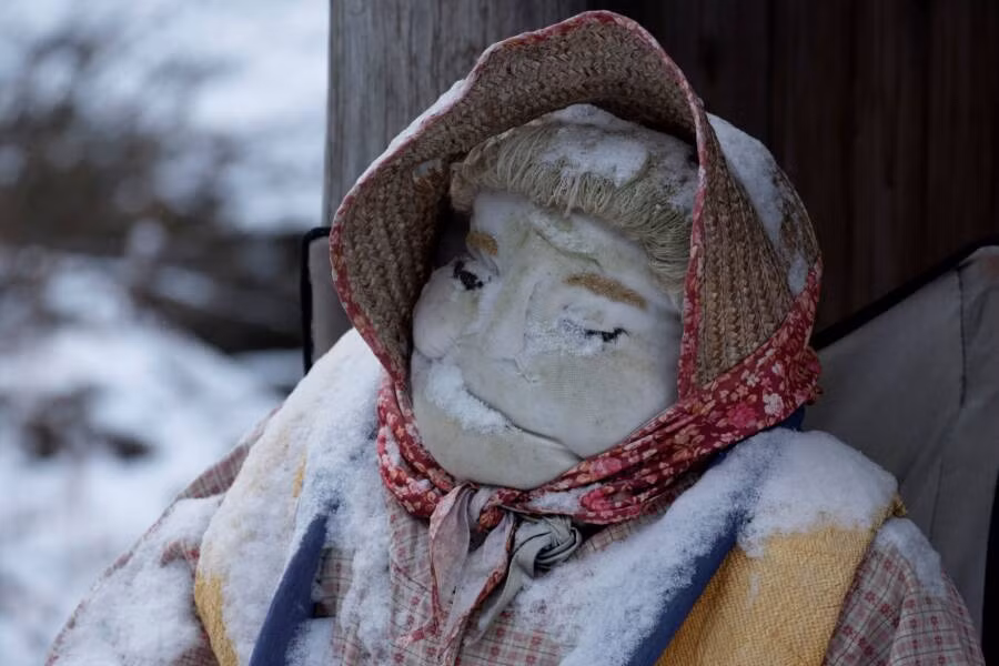 Vì vậy, số lượng búp bê bằng vải lớn gấp 10 lần số cư dân sống ở làng Nagoro. Khi du khách đến đây, họ dễ dàng bắt gặp búp bê được bố trí tại các ngôi nhà, đường xá... hơn là cư dân địa phương.