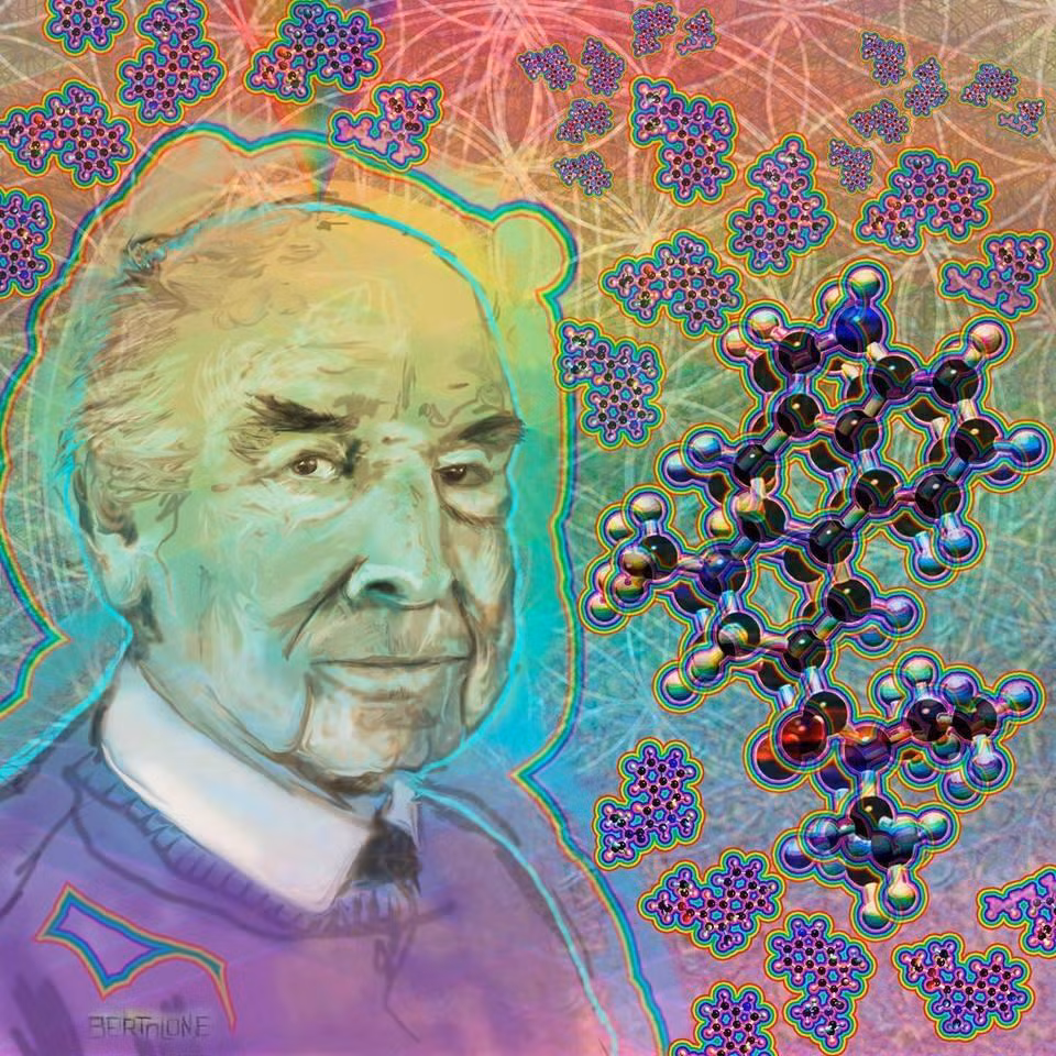 Ông Hofmann đích thân thử nghiệm LSD trên cơ thể và nhận thấy bản thân rơi vào trạng thái hưng phấn, mất kiểm soát và không biết mình đang làm gì.