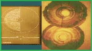 Nếu người Dropa trong câu chuyện trên thực sự có thật và là người ngoài hành tinh thì hậu duệ của họ như thế nào? Liệu họ có còn sống đến ngay nay?