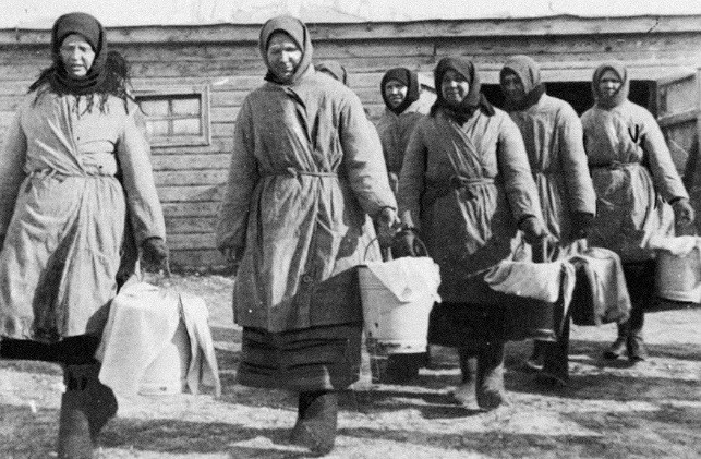 Nữ nông dân Nga làm việc chăm chỉ tại các trang trại.