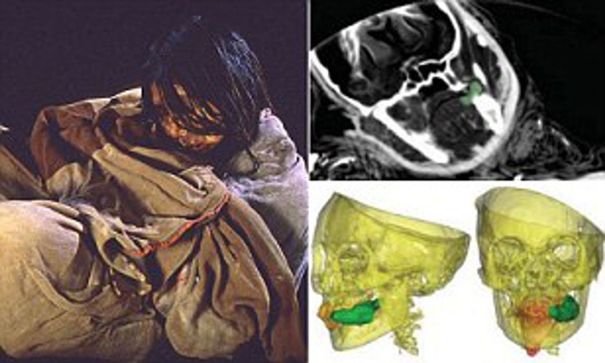 Khi được lựa chọn làm vật hiến tế, những đứa trẻ Inca còn có cơ hội gặp mặt nhà vua.