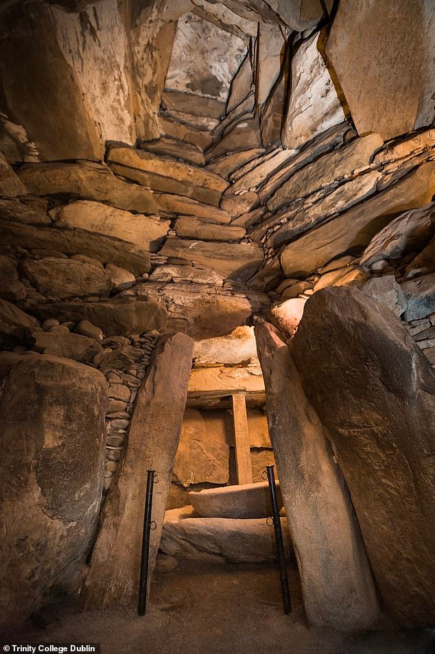 Cụ thể, thông qua xét nghiệm ADN của bộ hài cốt trên, các chuyên gia tìm ra bí mật về đời sống hôn nhân của các ông hoàng trị vì Ireland thời xưa.