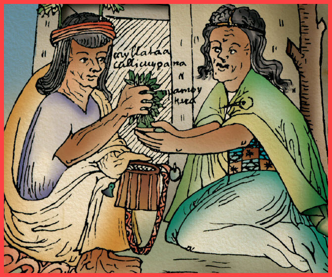 Điều này cho thấy lá coca có giá trị lớn trong đời sống hàng ngày cũng như trong tôn giáo của người Inca.