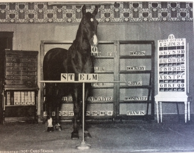 Không những vậy, Bộ Giáo dục Đức còn chỉ đạo thành lập Ủy ban điều tra khoa học đối với con ngựa Clever Hans. Theo đó, các nhà khoa học kiểm tra xem có thực sự chú ngựa này có thể làm toán cộng trừ nhân chia, phân biệt các nốt nhạc, đọc lịch... hay không.