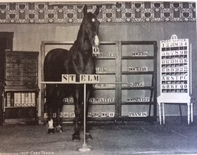 Không những vậy, Bộ Giáo dục Đức còn chỉ đạo thành lập Ủy ban điều tra khoa học đối với con ngựa Clever Hans. Theo đó, các nhà khoa học kiểm tra xem có thực sự chú ngựa này có thể làm toán cộng trừ nhân chia, phân biệt các nốt nhạc, đọc lịch... hay không.