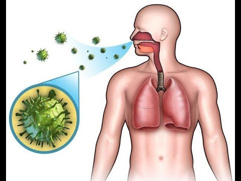 Vào năm 1945, Mỹ có hơn 18.000 trường hợp mắc bệnh bạch hầu. Từ năm 1980 - 1994, chỉ có 41 người ở Mỹ mắc bệnh bạch hầu.