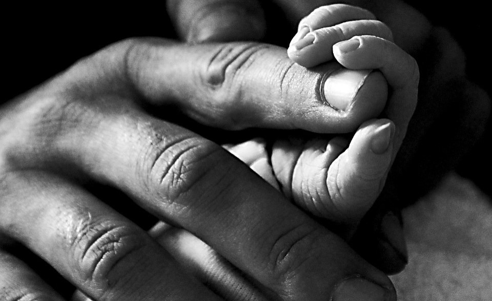 Điều này xuất phát từ việc người dân ở ngôi làng này có luật bất thành văn là cấm nuôi động vật. Do vậy, chỉ những loài động vật bay trên trời như chim chóc có thể sinh tồn ở ngôi làng Mafi Dove.