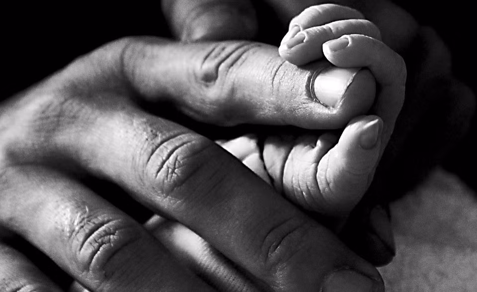 Điều này xuất phát từ việc người dân ở ngôi làng này có luật bất thành văn là cấm nuôi động vật. Do vậy, chỉ những loài động vật bay trên trời như chim chóc có thể sinh tồn ở ngôi làng Mafi Dove.