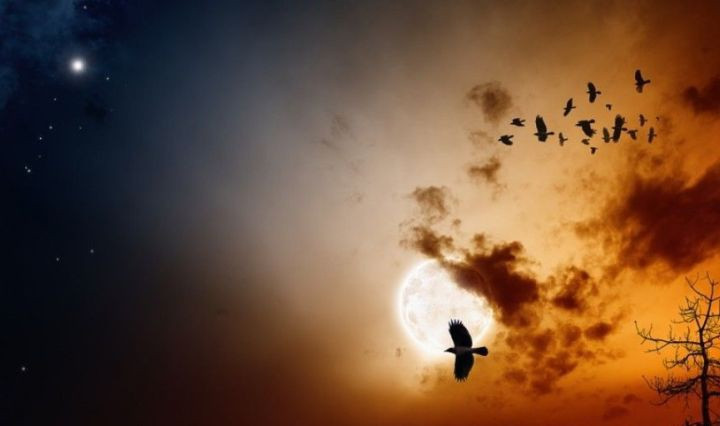 Cụ thể, hàng năm, cứ vào các buổi tối trong tháng 9 - 10, hàng trăm con chim tìm đường bay đến ngôi làng Jatinga.