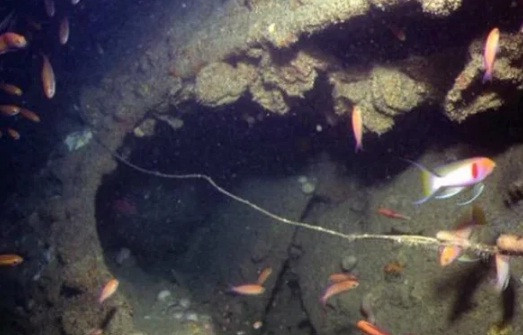 Thế nhưng, trong cuộc kiểm tra vào tháng 7/2019, các chuyên gia Hà Lan phát hiện xác 2 tàu ngầm HNLMS O 16 và HNLMS K XVII biến mất một cách bí ẩn.