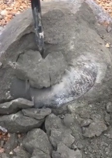 Sinh viên Wonfor suy đoán con cúc đá nặng gần 100 kg có thể là con cái. Nó đóng vai trò quan trọng trong quá trình sinh sản và thường có kích thước lớn.