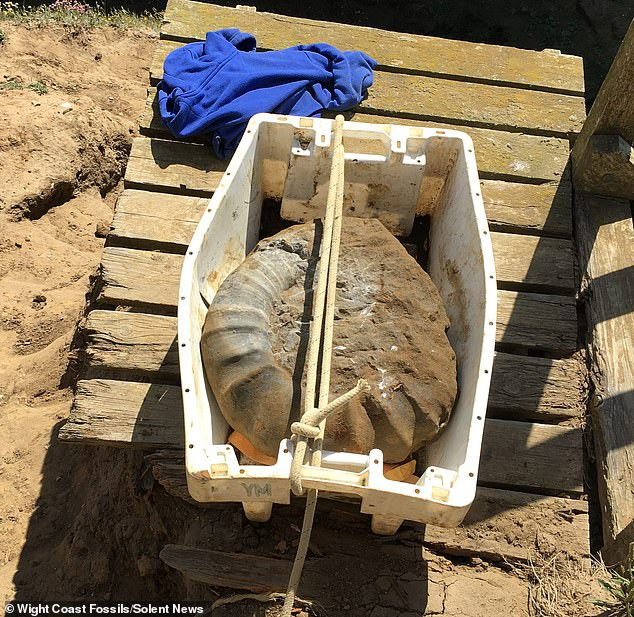 Wonfor và Vickers tìm ra vỏ hóa thạch nặng 96 kg thuộc về loài cúc đá sống ở kỷ Phấn Trắng. Hai sinh viên này đã tách hóa thạch từ lớp đất đá.