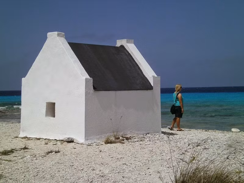 Sau đó, một chỉ huy Tây Ban Nha đến đảo và mang theo một số gia súc. Ông cho rằng đảo Bonaire có thể sử dụng làm nơi chăn nuôi gia súc.