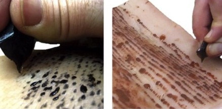 Để chứng minh điều này các chuyên gia thực hiện các thí nghiệm nhằm mô phỏng quá trình xăm mình của con người bằng các công cụ làm từ đá obsidian.