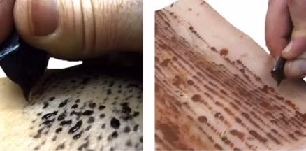 Để chứng minh điều này các chuyên gia thực hiện các thí nghiệm nhằm mô phỏng quá trình xăm mình của con người bằng các công cụ làm từ đá obsidian.