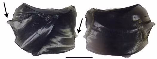 Loại đá đặc biệt này thường có màu đen và xám đen. Ngoài ra, một số ít đá obsidian có màu nâu, xanh lá, tím, lam…