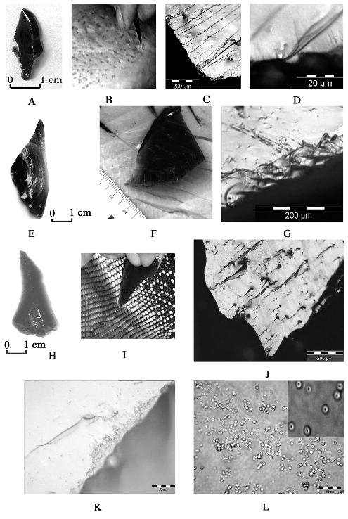 Hình xăm thể hiện cho địa vị của một người trong bộ lạc hay mối quan hệ giữa cá nhân với các vị thần hay linh hồn.