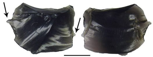 Chính vì vậy, người xưa tạo ra những công cụ làm từ đá obsidian để tạo ra những hình xăm thiêng liêng trên cơ thể.