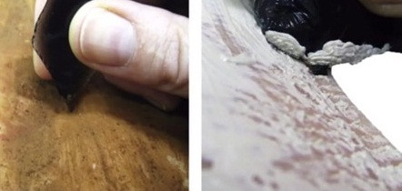 Theo đó, các chuyên gia tạo ra những hình xăm trên da động vật. Các dụng cụ xăm bị hao mòn giống các cổ vật được tìm thấy ở quần đảo Solomon.