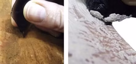 Theo đó, các chuyên gia tạo ra những hình xăm trên da động vật. Các dụng cụ xăm bị hao mòn giống các cổ vật được tìm thấy ở quần đảo Solomon.