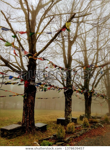 Khi thực hiện tập tục này, linh hồn trẻ em không may qua đời sớm sẽ không nán lại trần thế, quấy phá và làm hại những đứa trẻ khác. Mời độc giả xem video: Không gian văn hóa Tây Tạng giữa lòng Hà Nội. Nguồn: VTC10.