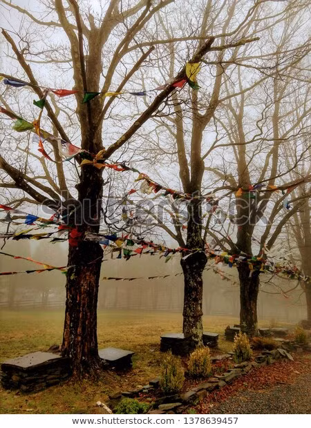 Khi thực hiện tập tục này, linh hồn trẻ em không may qua đời sớm sẽ không nán lại trần thế, quấy phá và làm hại những đứa trẻ khác. Mời độc giả xem video: Không gian văn hóa Tây Tạng giữa lòng Hà Nội. Nguồn: VTC10.