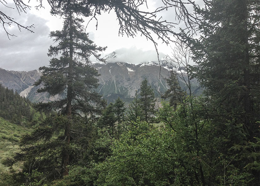 Người Nyingchi và Kangbei thực hiện mộc táng cho con cái vì tin rằng việc làm này sẽ giúp linh hồn các bé dễ dàng lên thiên đường.