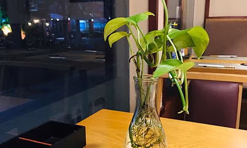 Chong phu bac con gieo tieng ac khien toi chang dam nhin mat ai