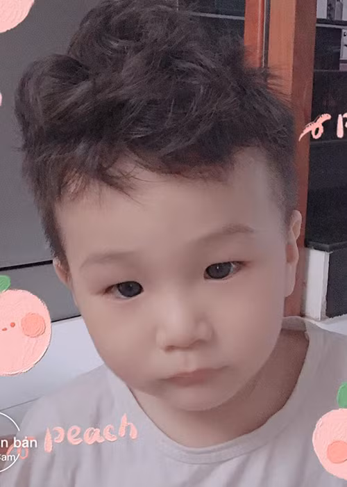 Con trai của Lâm Khánh Chi tên Thiên Long, chào đời vào tháng 10/2018 tại Thái Lan.