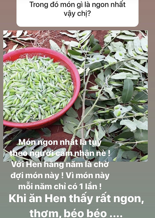 Món ăn khoái khẩu của H'hen Niê chính là nhộng sâu muồng. Đây là món đặc sản của Đắk Lắk.