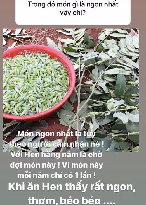 Món ăn khoái khẩu của H'hen Niê chính là nhộng sâu muồng. Đây là món đặc sản của Đắk Lắk.