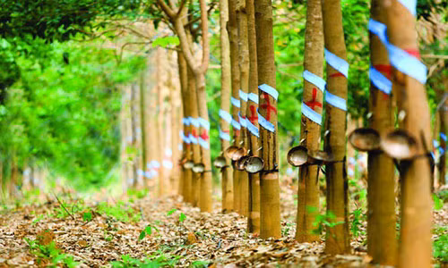 Bau Duc van dau dau voi ganh no cua Hoang Anh Gia Lai