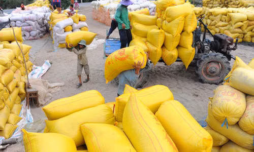 Hai quan mo to khai xuat khau gao luc nua dem, Pho Thu tuong yeu cau 2 Bo bao cao