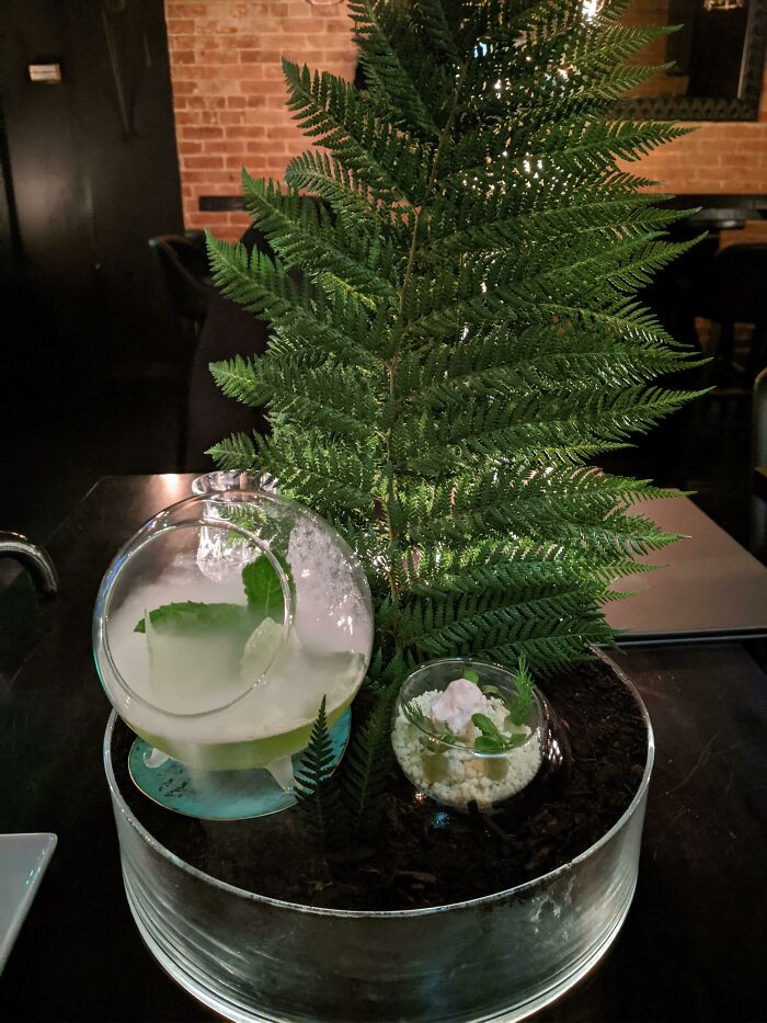 Hẳn là chủ quán nuôi cá nhưng chết hết, nên thừa ra cái bình thủy tinh để pha nước?