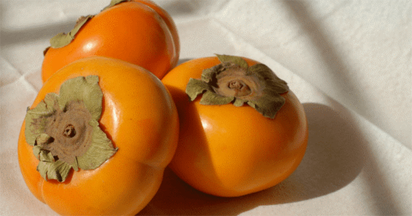 Đặc biệt, không nên ăn hồng cùng với tôm, cua, cá và các loại thực phẩm giàu đạm. Nguyên nhân là bởi hồng vốn giàu đạm, kết hợp với chúng dễ gây tổn thương dạ dày không thể hồi phục. Ảnh minh họa.